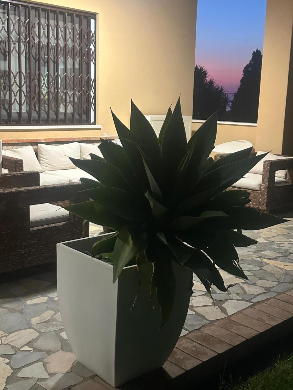 B&B Casa Marilu Fuscaldo Bagian luar foto